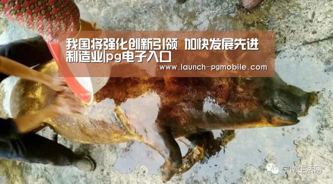 我国将强化创新引领 加快发展先进制造业|pg电子入口(图2) pg电子入口